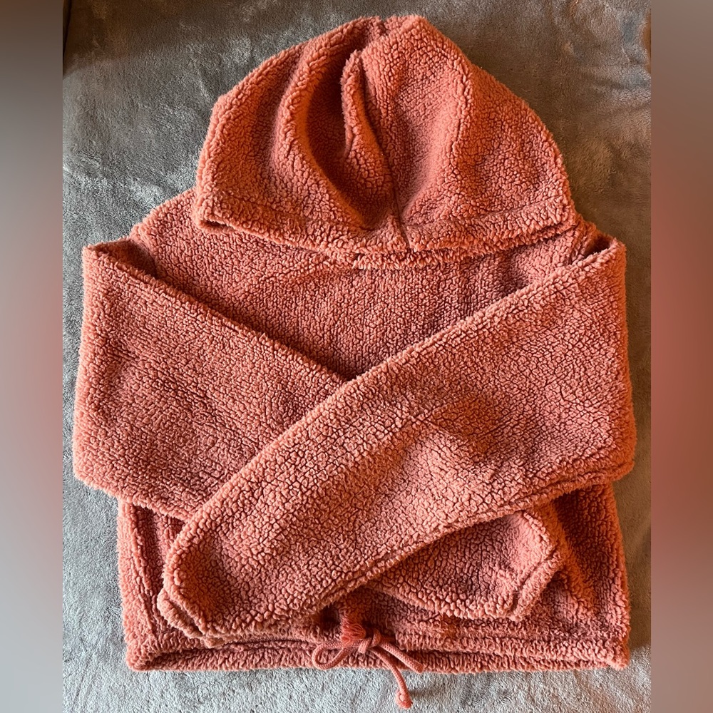 Wild Fable Cropped Teddy Hoodie